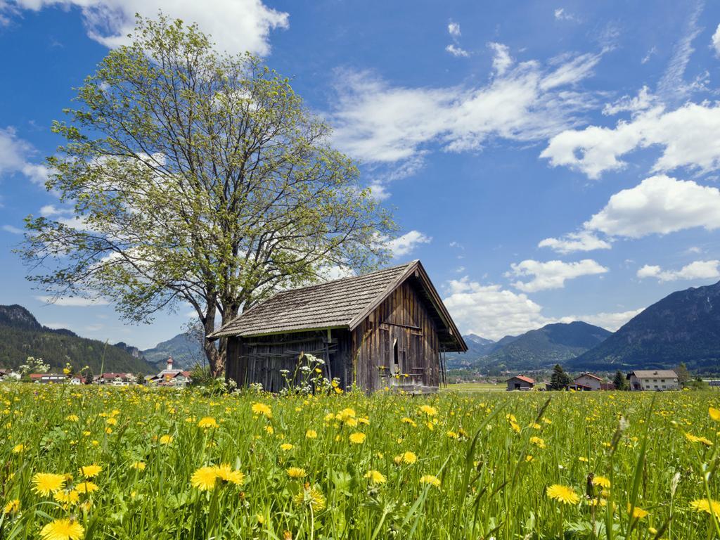 Hotel Goldene Rose Reutte Exterior foto